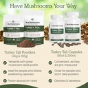 real-mushrooms-turkey-tail-for-humans-90-5.jpg