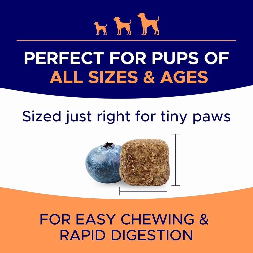 dog-allergy-relief-chews-anti-itch-skin--6.jpg