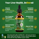 rejuvica-health-vitaliver-liver-cleanse--2.jpg