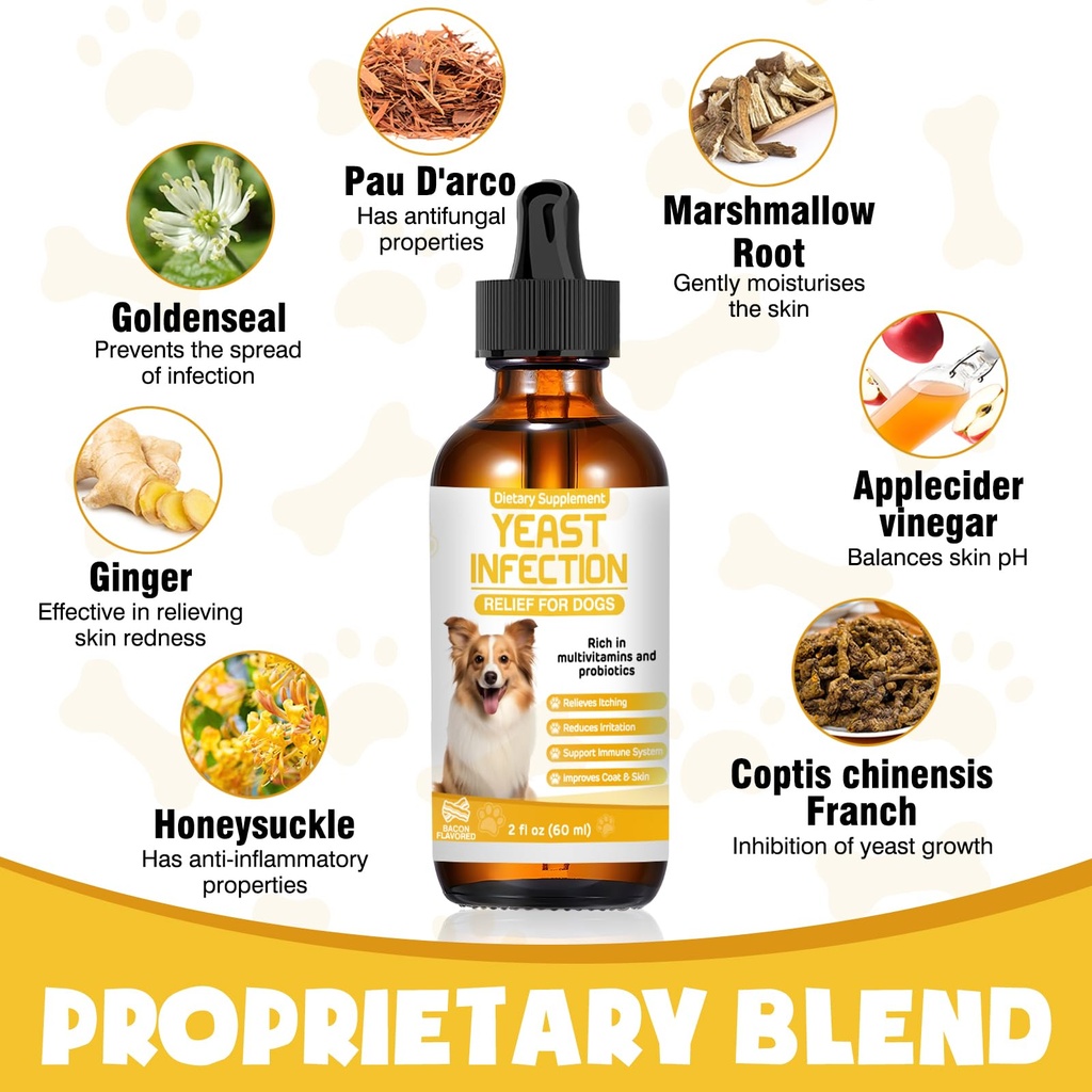 yeast-infection-treatment-for-dogs-dog-e-3.jpg