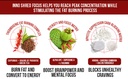 inno-shred-focus-day-time-fat-burner-100-4.jpg