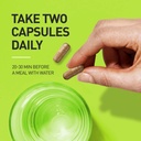 premium-green-tea-extract-fat-burner-sup-5.jpg
