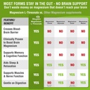 magtein-magnesium-l-threonate-supplement-6.jpg