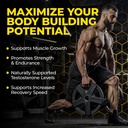 extreme-anabolic-testosterone-booster-av-4.jpg
