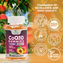 coq10-gummies-coenzyme-q10-100mg-per-ser-4.jpg