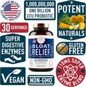 windsor-botanicals-bloat-relief-probioti-4.jpg