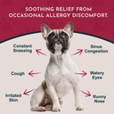 animal-essentials-seasonal-allergy-treat-2.jpg