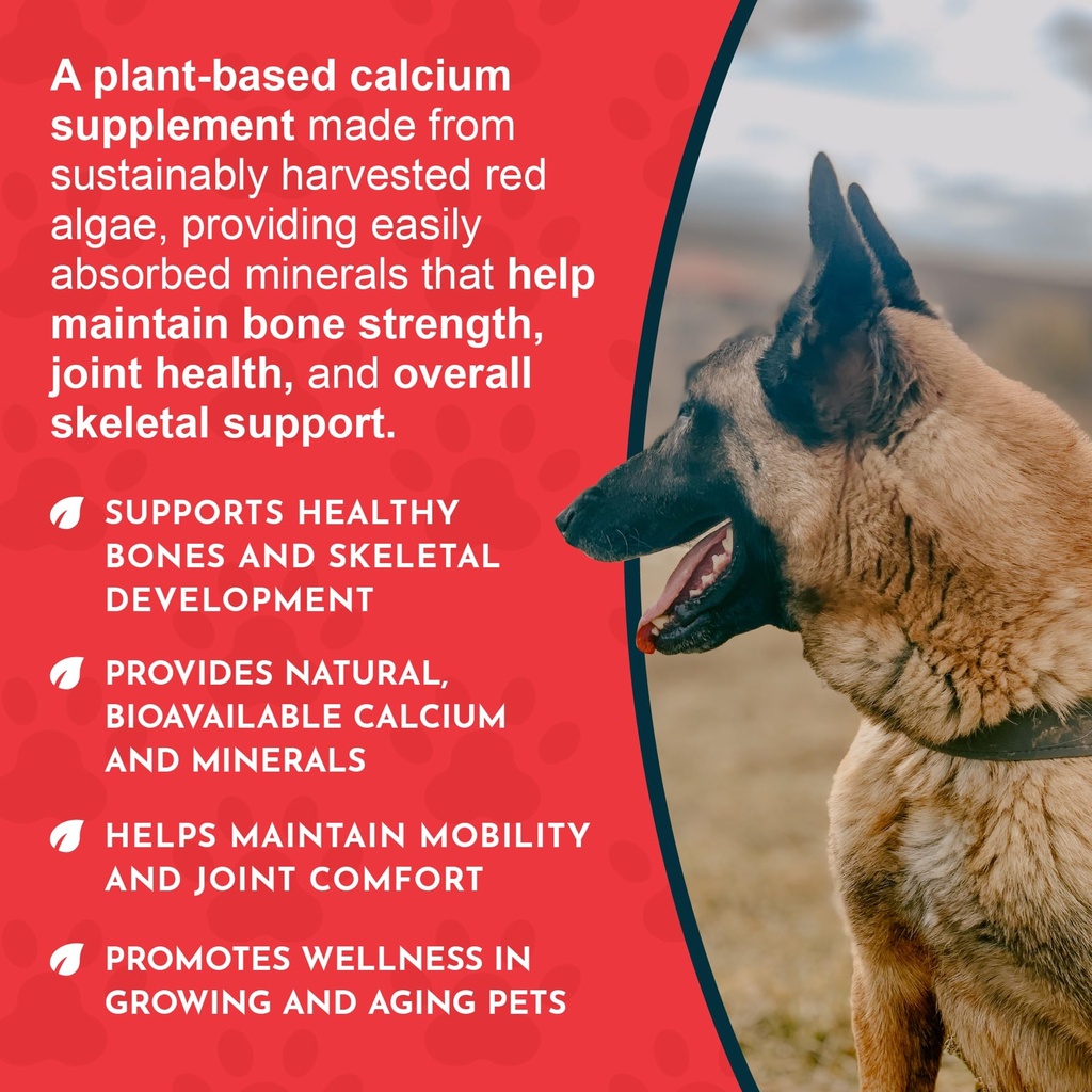 animal-essentials-sea-cal-pure-seaweed-c-5.jpg