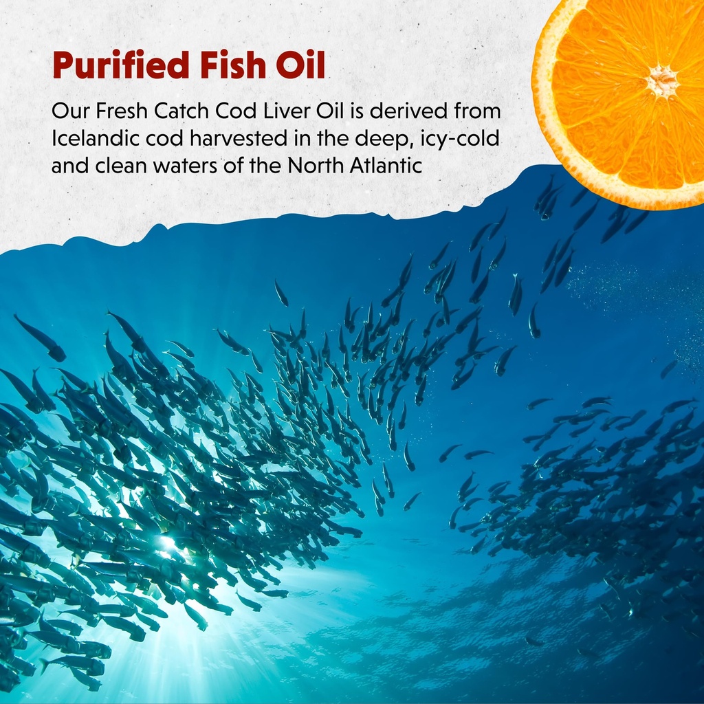 barlean-s-omega-3-fish-oil-liquid-supple-5.jpg