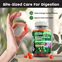 digestive-enzymes-with-probiotics-and-pr-6.jpg