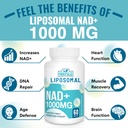 maripolio-liposomal-nad-1000-mg-suppleme-3.jpg