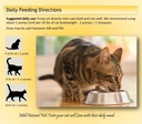 nodens-natural-fish-oil-for-cats-skin-co-3.jpg