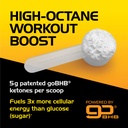 nootropic-stim-free-pre-workout-powder-n-2.jpg
