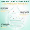 nad-supplement-120-capsules-liposomal-ni-5.jpg