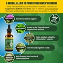vitaliver-liver-health-supplement-suppor-3.jpg