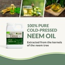 neem-bliss-16-fl-oz-pure-neem-oil-concen-2.jpg