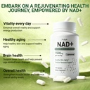 nad-supplement-liposomal-nad-nicotinamid-4.jpg