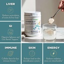 todicamp-zeolite-detox-for-adults-sorbol-5.jpg