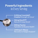ora-organic-creatine-monohydrate-powder--3.jpg