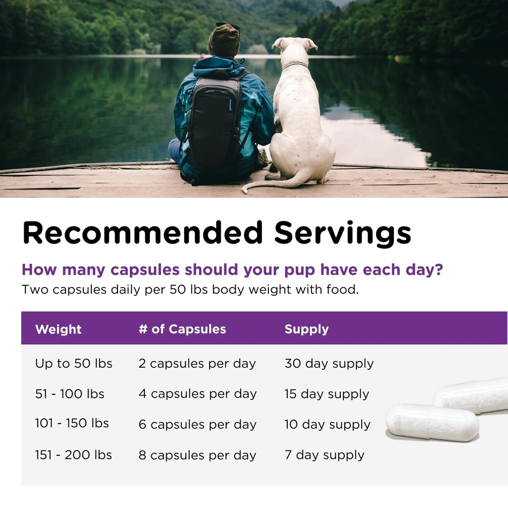 nutri-vet-probiotics-for-dogs-dog-probio-5.jpg