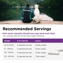 nutri-vet-probiotics-for-dogs-dog-probio-5.jpg