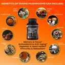 nootropic-mushroom-supplement-lions-mane-4.jpg