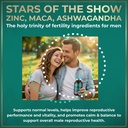fertility-supplements-for-men-prenatal-v-3.jpg