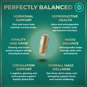 fertility-supplements-for-men-prenatal-v-4.jpg