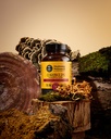 mushroom-wellness-cordyceps-blend-with-r-6.jpg