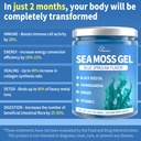 sea-moss-gel-blue-spirulina-irish-seamos-2.jpg