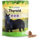 Thyroid Support for Horses - 120-Day Supply | Thyroid Support For Horses, Irish Moss, Kelp & Parsley, Metabolism & Hormone Balance, 120-Day Supply, NASC certified