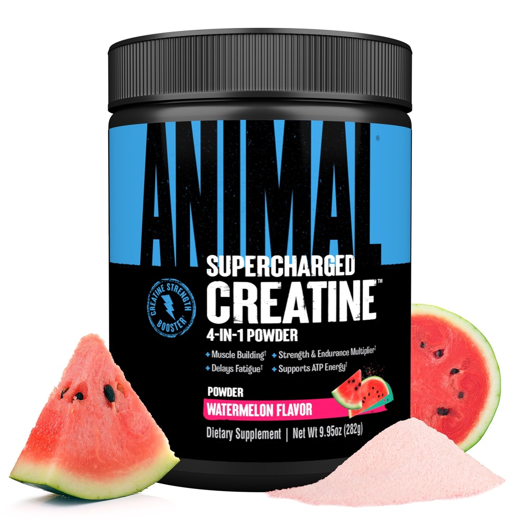 Animal Supercharged Creatine Powder - Flavored Creatine Monohydrate Verbessert mit Betaine Anhydrous, PurpleForce & Senactiv, Stärke, Ausdauer, Muskelrückgewinnung für Männer und Frauen - Wassermelone, 300g