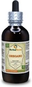 Oregano (Origanum Vulgare) Tinktur, Organic Dried Leaves Liquid Extract (Markenname: HerbalTerra, Proudly Made in USA) 4 fl.oz (120 ml)