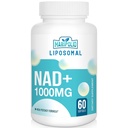 Liposomal NAD+ Ergänzung 1000 mg | Höchste NAD Pontecy | Max Absorption | Reine NAD Ergänzung | Energie und DNA Reparatur, Alterung Verteidigung, Gehirn Funktion | 60 Softgels