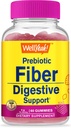 WellJa Prebiotic Fiber Gummis für Erwachsene Fiber Supplement für Damen und Herren - Verdauungsfaser-Ergänzungen - Vegan, Glutenfrei und Non GMO - Berry Flavor - 60 Count