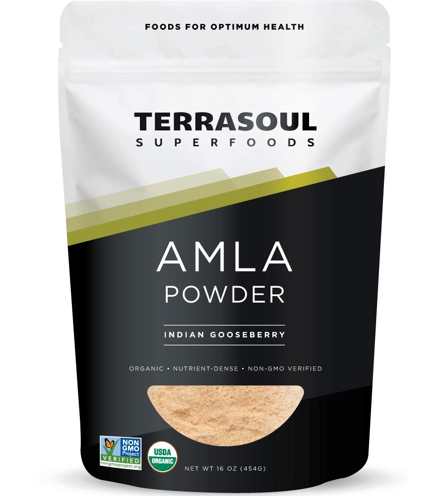 Terrasoul Superfoods Bio Amla Berry Powder (Amalaki), 16 Oz - Reich an Antioxidant Vitamin C | Unterstützt Immunität
