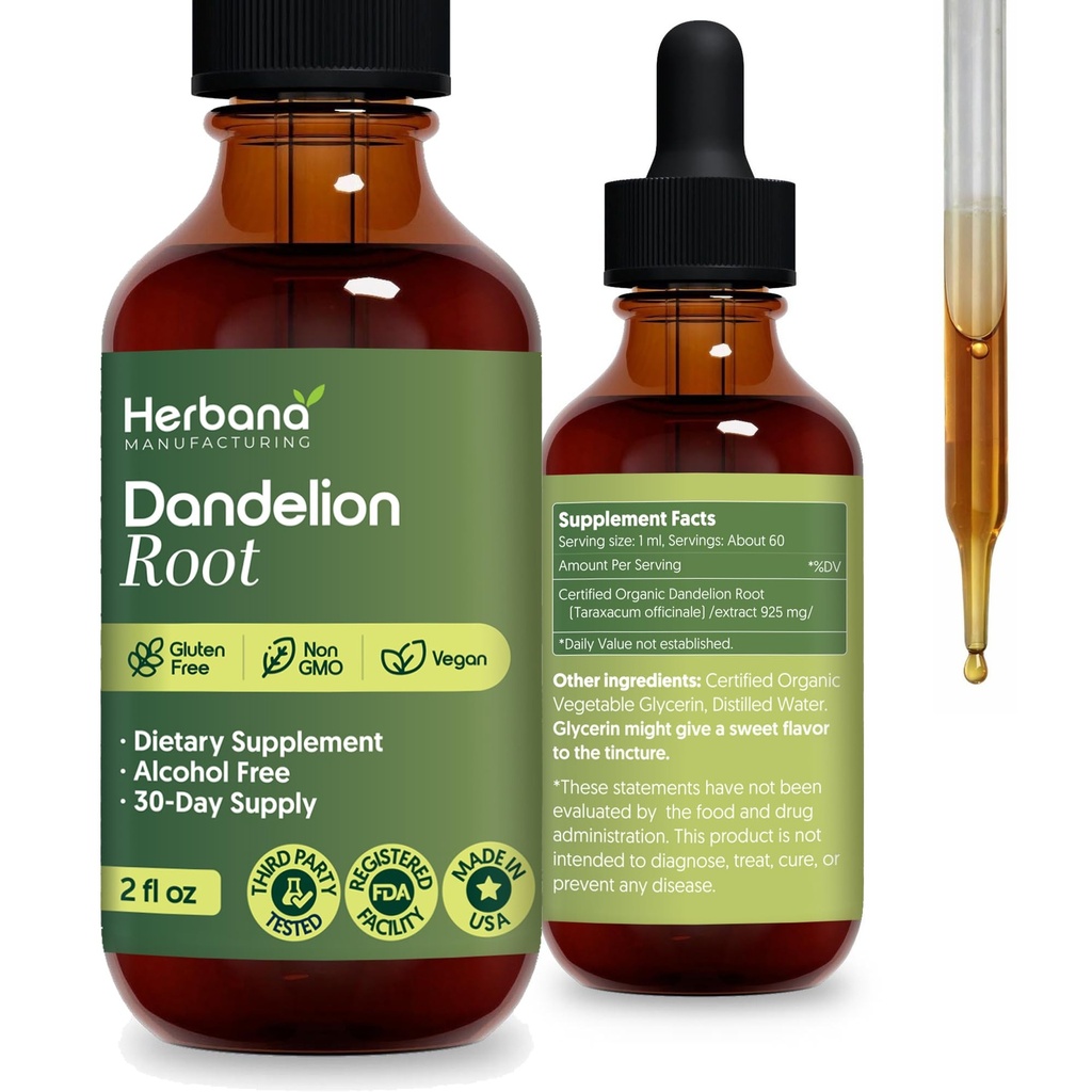 Dandelion Root 4 fl oz Flüssiger Extrakt - Natürliche Kräuterergänzung für Reinigung, Verdauungsfunktion und Immunität - Bio Taraxacum officinale - Familiengröße - Hohe Potenz Tropfen - 90-Tage Versorgung