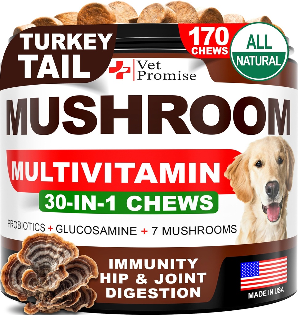 Mushroom for Dogs - 170 Chews - Türkei Tail - Pilzergänzung für Hunde - Lions Mane - Reishi - Immunitätsunterstützung Multivitamin Vitamine - Gemeinsame Gesundheit - Energie - Gut - Haut - Made in USA
