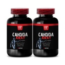 arabinogalactan, Darmflora-Ergänzung, Aloe vera Blatt Pulver bio - CANDIDA AWAY COMPLEX - oregano öl Kapseln, Würmer-Ergänzungskapseln, Immun-Booster, Candida-Unterstützung - 2 Flasche 120 Caps