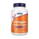JETZT Nahrungsergänzungsmittel, Collagen Peptides Pulver, Klinisch getestet, Gelenk- und Knochengesundheit*, 8-Ounce