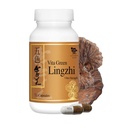 Vita Green Lingzhi Mushroom Kapseln für Energie, Gedächtnis und Immununterstützung – Pure Reishi Ergänzung mit natürlichen Antioxidantien für Wellness und Energie – 72 Kapseln