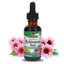 Natur Antwort Echinacea Alkoholfrei Extrakt 1 Flüssigkeit Unze | Fördert Gesamt Wellness | Natürliche Immun Booster | Entzündung Reducer