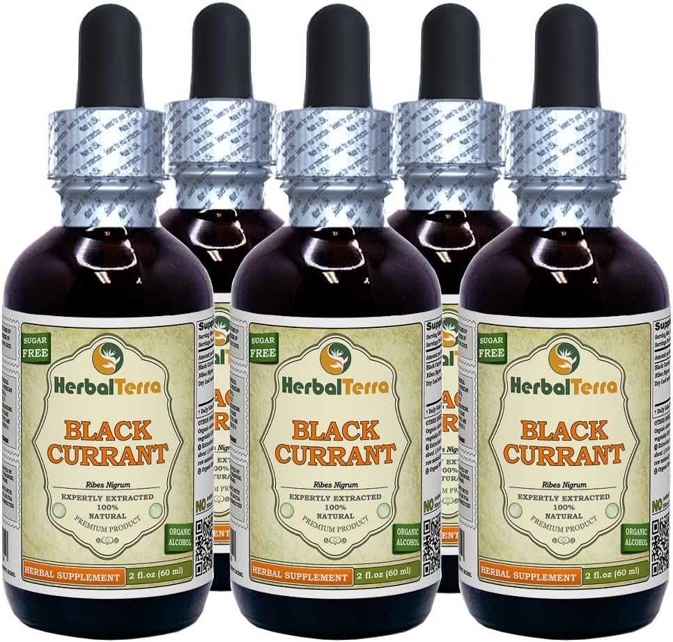 Fekete ribizli (Ribes nigrum) tinktúra, szárított levelek folyékony kivonat (márkanév: HerbalTerra, Proudly Made in USA) 5x2 fl.oz (5x60 ml)
