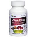 Sayan Sibirische Chaga und Bio Reishi Pilzextrakt Ergänzung – 90 Kapseln/440mg Jeder - Wild-Harvested, Antioxidante Mischung für Immunsystem Unterstützung + Natürliche Energie Boost, Non-GMO, Glutenfrei