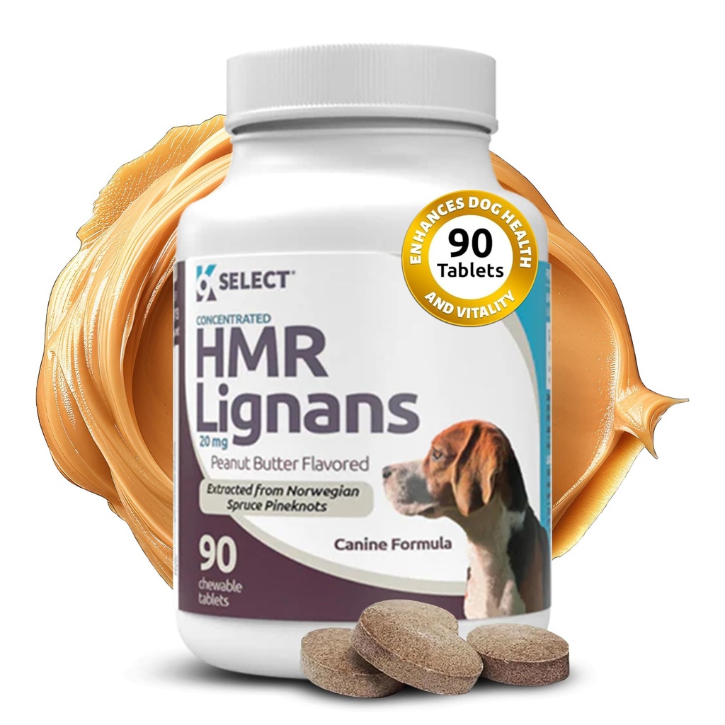 K9 Válassza HMR Lignas kutyáknak - Enhancer for General Wellness, Immune Support for Dogs - Norvégia Spruce kivonat Holisztikus kutya egészség - emésztés, & Coat Care - Mogyoróvaj, 20mg, 90 tabletta