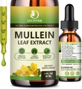 (2 Pack) 98% Absorption Mullein Tropfen für Lunge, Leistungsstark 5 in 1 Mullein Blatt Kräutermischung Extrakt, natürliche Lunge Unterstützung Ergänzung für Lunge Cleanse & Detox und Respiratory Lung Health