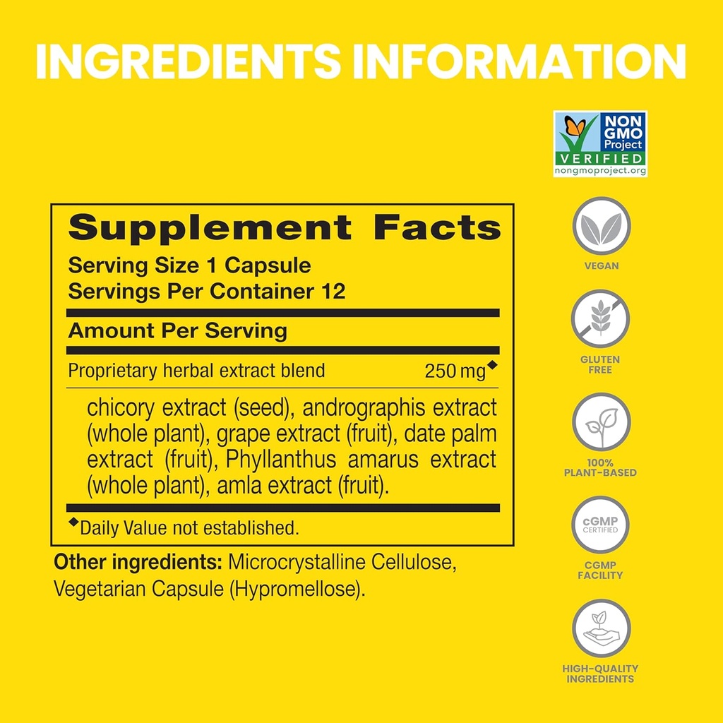 Himalaya PartySmart, 12 Kapszula tubus - Alkohol Breakdown Máj támogatás egy jobb reggel után - Növény alapú, Vegán, Non-GMO, Gluten Free, Klinikailag tanult (csomag 2)