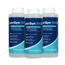 Lubrisyn Hyaluronsäure Mundgelenk-Ergänzung mit MSM – Flüssige HA-Formel für Menschen – Fördert Gelenkunterstützung, Mobilität, Flexibilität, Hydration & Gesunde Funktion für Männer & Frauen – 3 x 11,5oz
