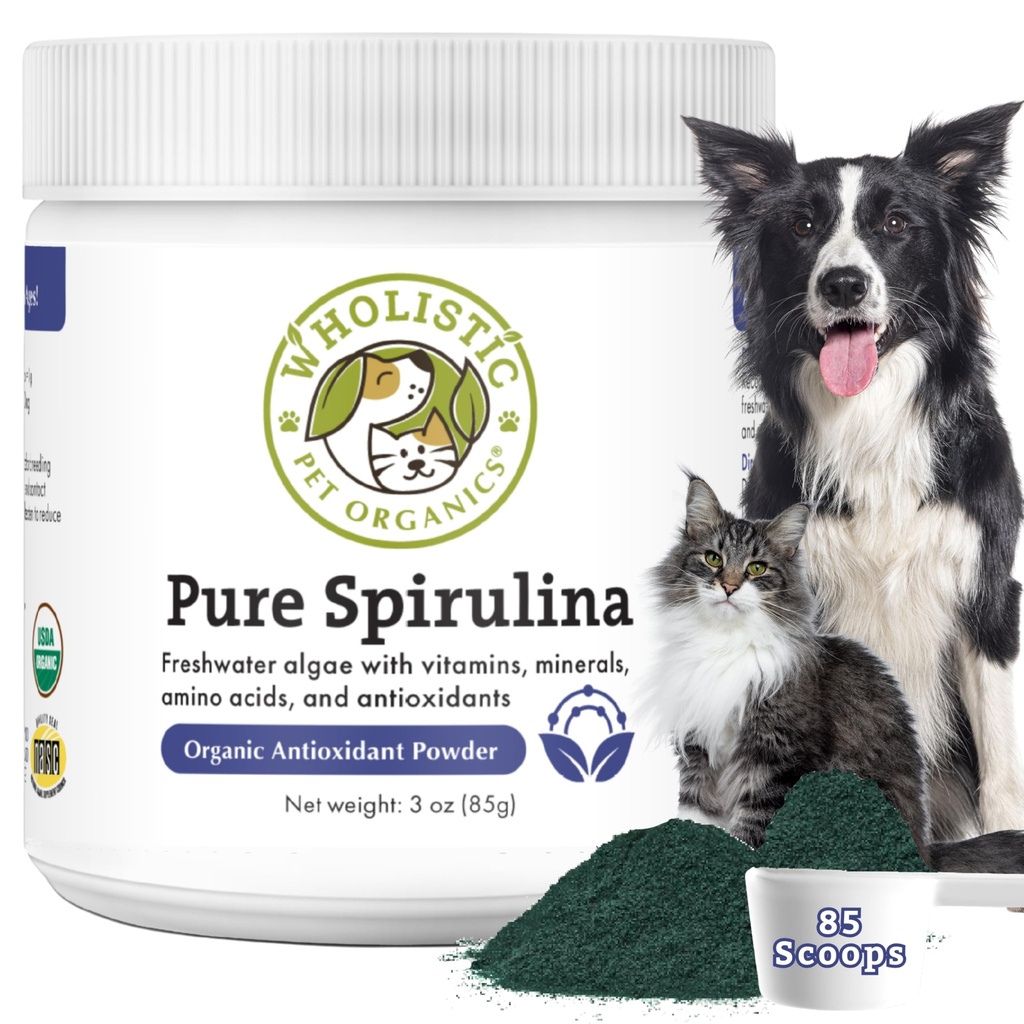Wholistic Pet Organics Spirulina für Hunde - 3 Oz - Unterstützt gesunde Immunsystem & Saisonale Allergie - Pflanzenbasierte Antioxidantien Unterstützung für hausgemachte Lebensmittel - Bio Hundefutter Topper - frisch Made in USA