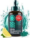 Flüssige Chlorophyll Tropfen mit Spirulina für Wasser - Vollständige Kraft Energie, Wellness, Immununterstützungsergänzung - 50mg Chlorophyll Liquid, 12.5mg Spirulina - Lemon Flavor Detox Drink - 2oz, 118 Servierungen
